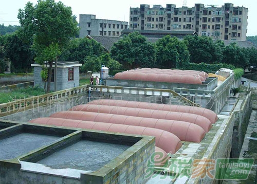 “農(nóng)村沼氣工程轉(zhuǎn)型之路在何方”