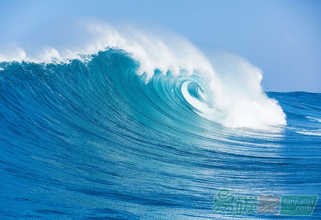 平陽啟動藍(lán)色藍(lán)碳計劃