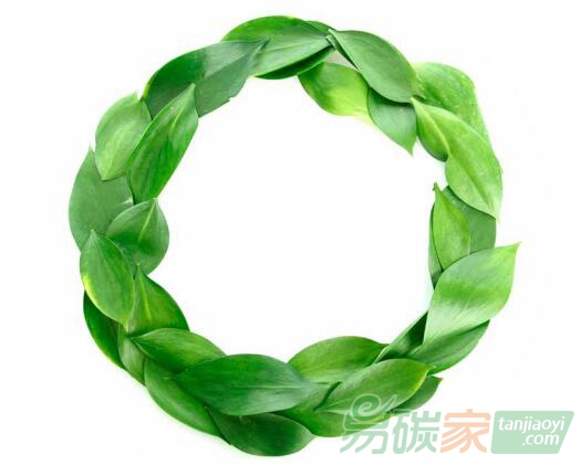 綠色經(jīng)濟、循環(huán)經(jīng)濟、低碳經(jīng)濟，三者之間究竟是什么關系？